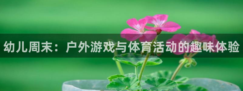 熊猫体育nba：幼儿周末：户外游戏与体育活动的趣味体验