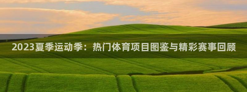 熊猫体育app官方入口：2023夏季运动季：热门体育项目图鉴与精彩赛事回顾